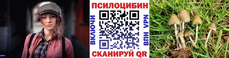 Псилоцибиновые грибы MAGIC MUSHROOMS  kraken как войти  Великий Новгород 