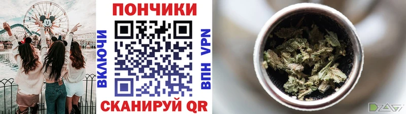 как найти   Великий Новгород  Бошки марихуана SATIVA & INDICA 